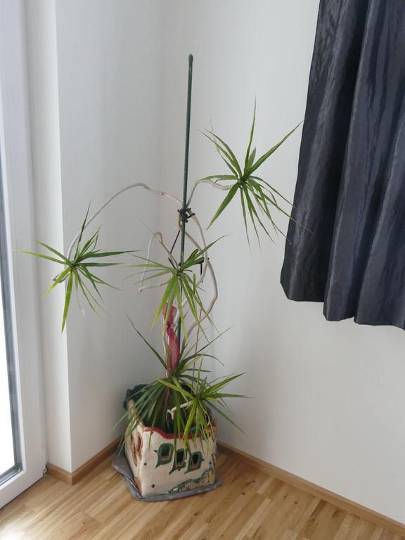 Chads City Apartment Mit Tiefgarage Free Parking 그라츠 외부 사진